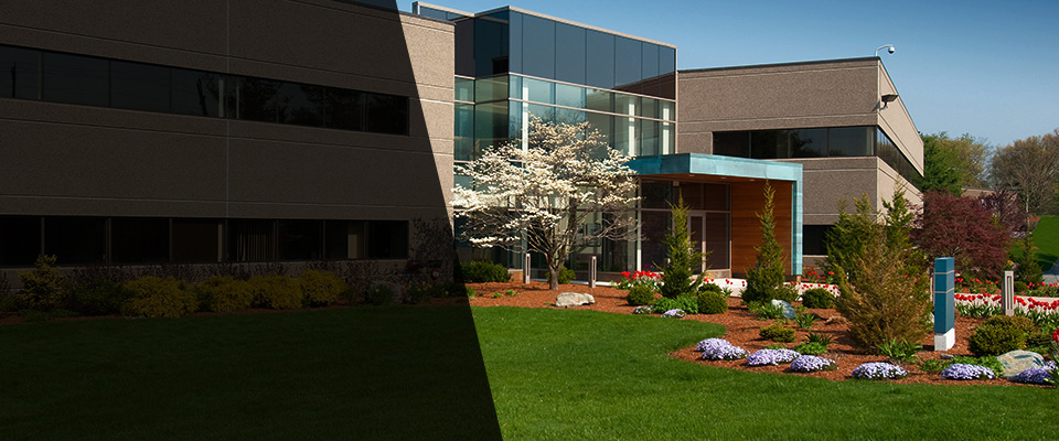 Phillips Landscapers