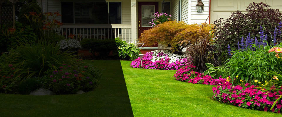 Phillips Landscapers