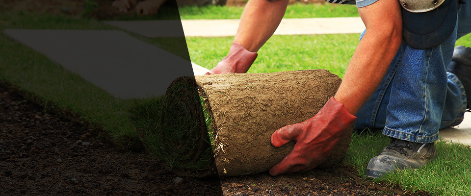 Phillips Landscapers